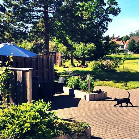 Auszeit Am Geiseltalsee