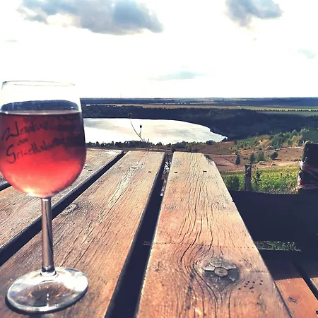 Auszeit Am Geiseltalsee 아파트